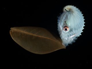 Imagen - Premios Fotografía