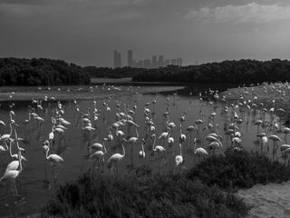 Imagen - Premios Fotografía