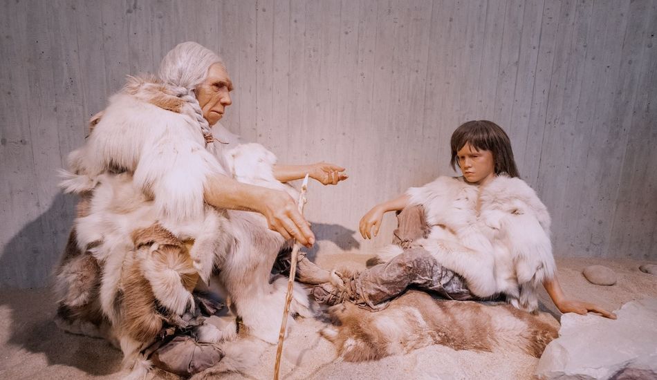 Canibalismo Neandertal