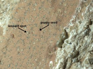 Imagen - Descubrimientos NASA