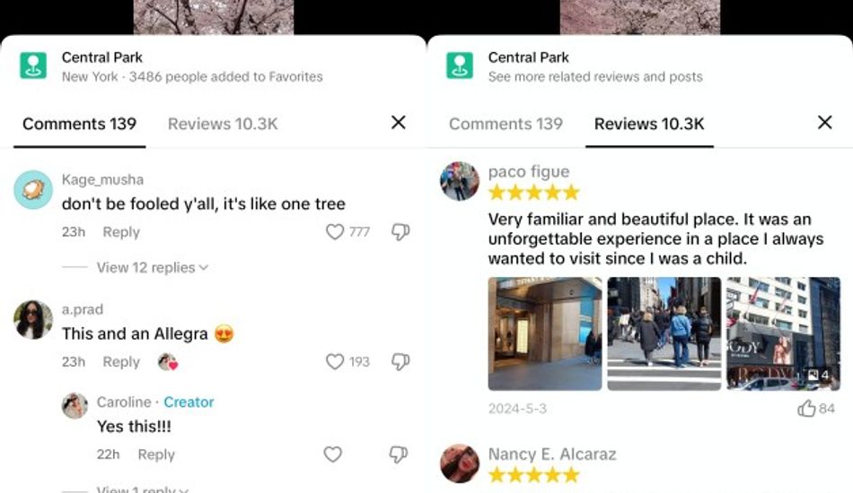 imageTikTok Reseñas