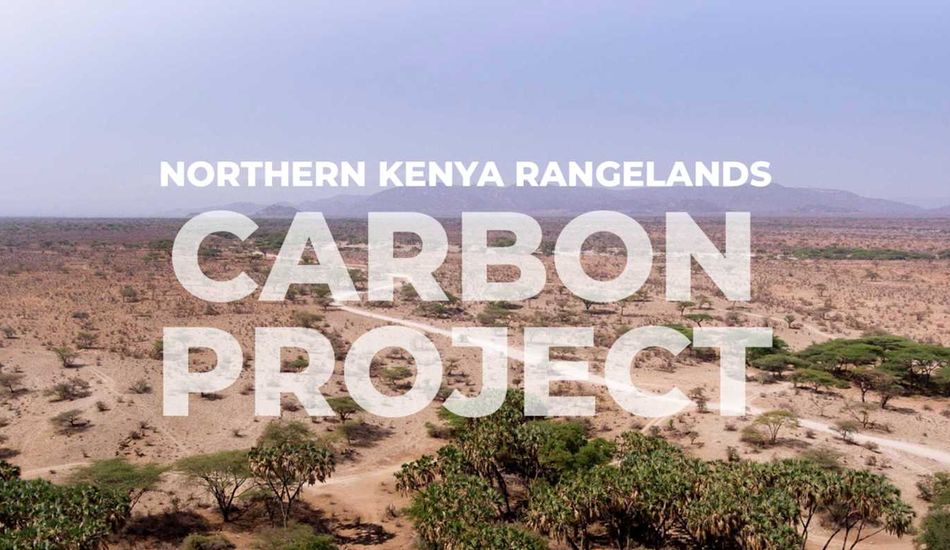 imageDisputa de Créditos de Carbono