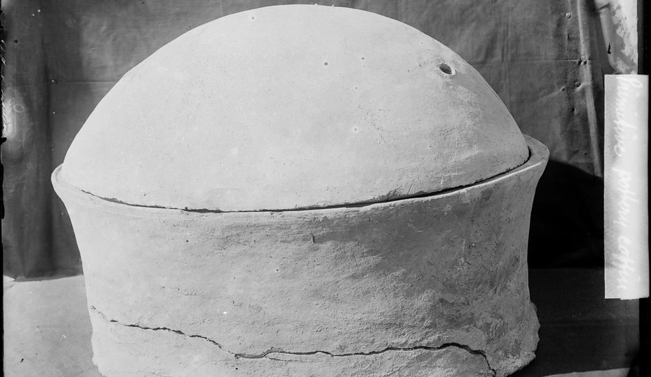 imageGenoma Antiguo