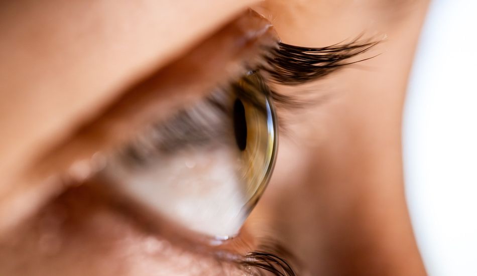 Corrección Ocular